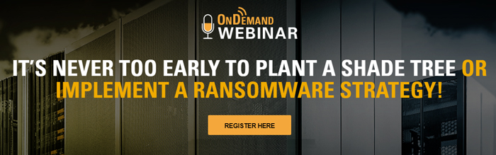 The Best Time to Plant a Shade Tree is 30 Years Ago: The Same is True for your Ransomware Strategy!
